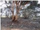 34A Kenna Road, Loxton SA 5333