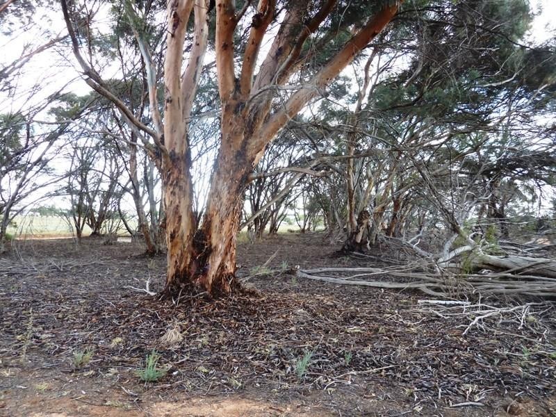 34A Kenna Road, Loxton SA 5333