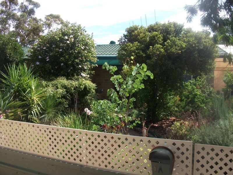 1A Trenaman Crescent, Berri SA 5343
