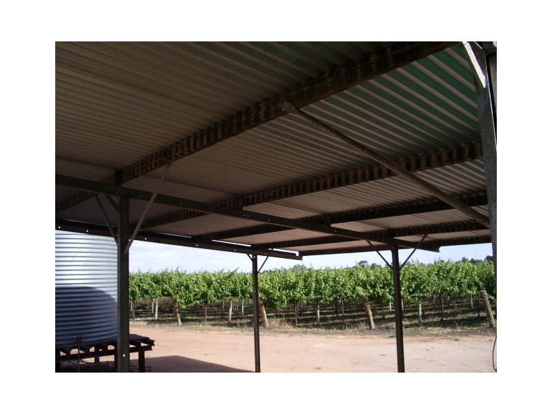 49 Till Road, Barmera SA 5345