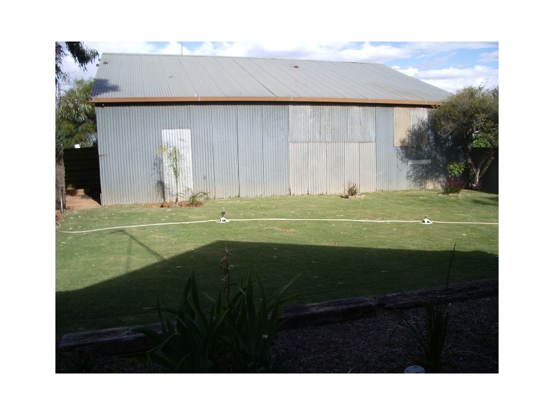49 Till Road, Barmera SA 5345