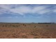 15350 Sturt Highway, Kingston On Murray SA 5331