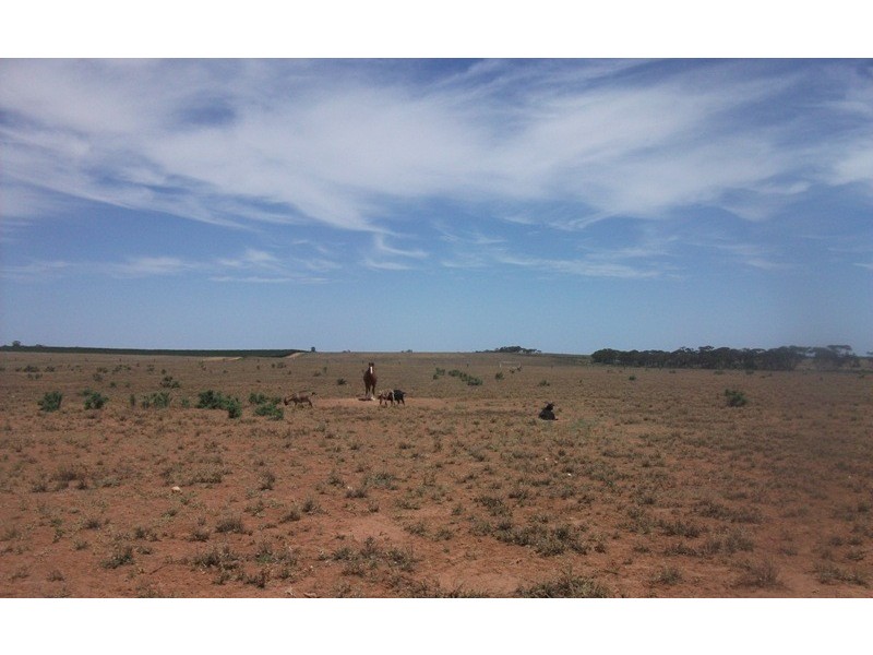 15350 Sturt Highway, Kingston On Murray SA 5331