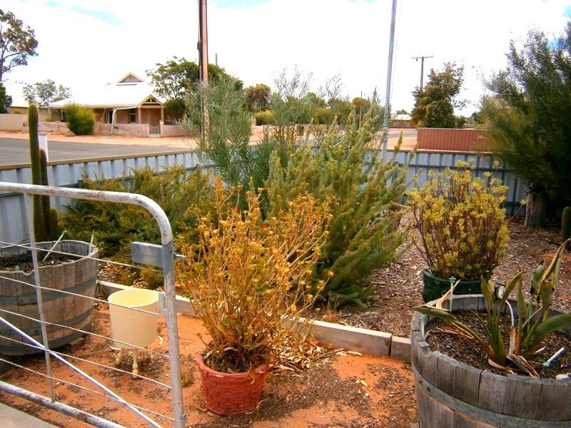 8 Sixth Street, Morgan SA 5320