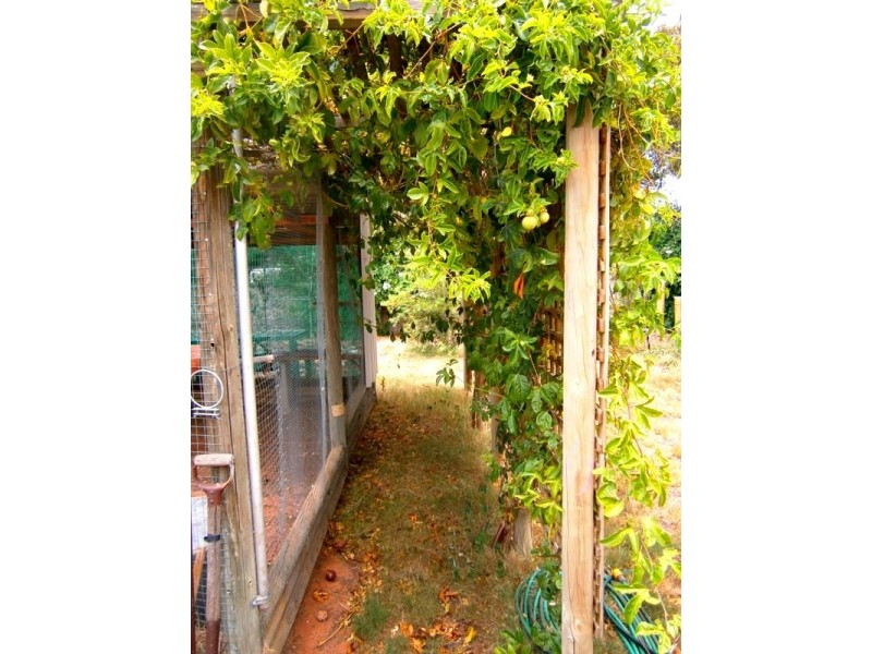 8 Sixth Street, Morgan SA 5320