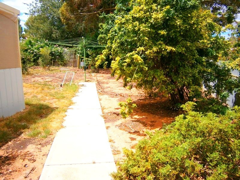 8 Sixth Street, Morgan SA 5320