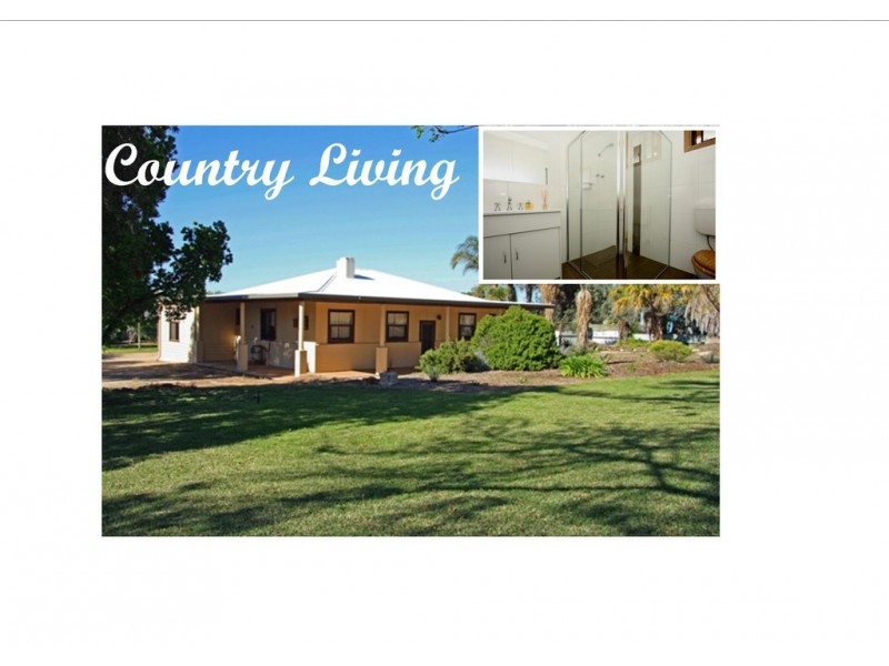 152 Balfour Ogilvy Road, Loxton SA 5333