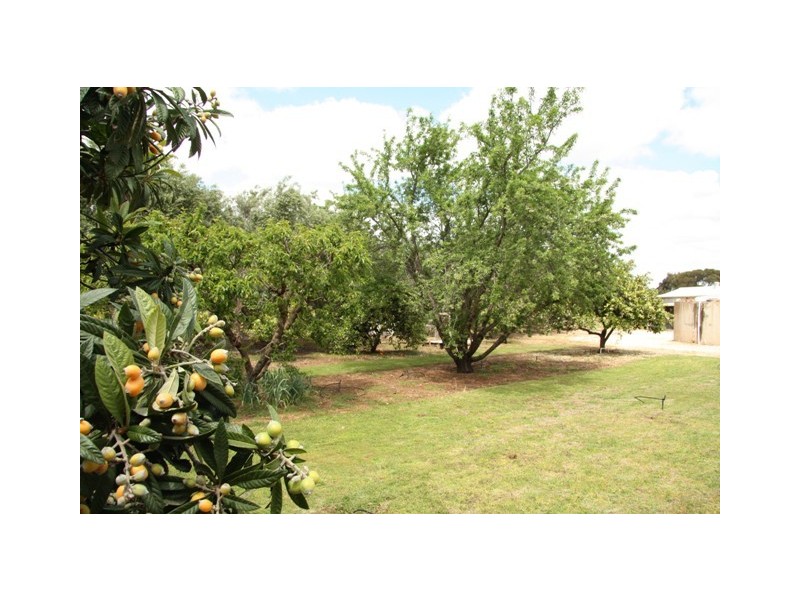 152 Balfour Ogilvy Road, Loxton SA 5333