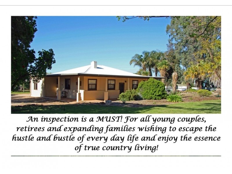 152 Balfour Ogilvy Road, Loxton SA 5333