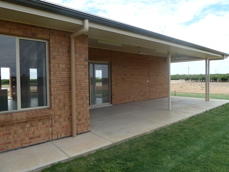 175 Nelbuck Street, Renmark SA 5341