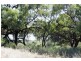 1975 Kingston Rd, Loxton SA 5333
