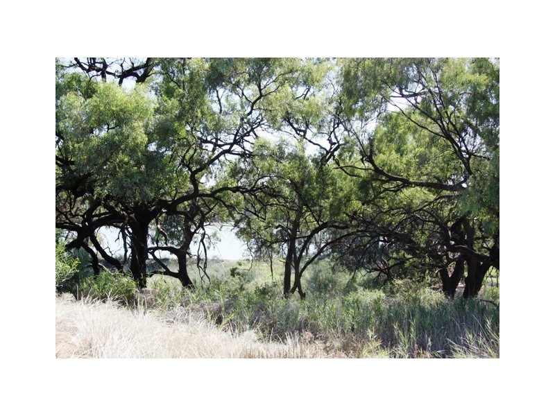 1975 Kingston Rd, Loxton SA 5333