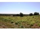 1975 Kingston Rd, Loxton SA 5333