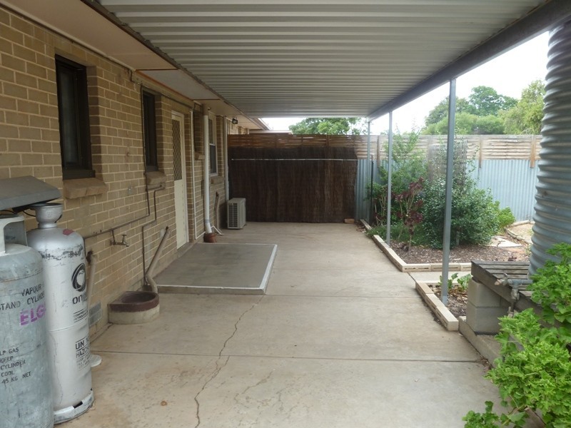 24 Trenaman Crescent, Berri SA 5343