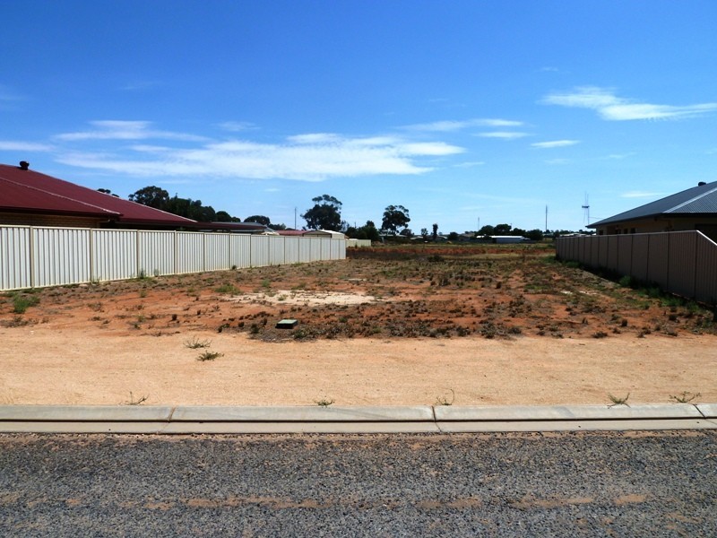 7 Torrens Street, Loxton SA 5333