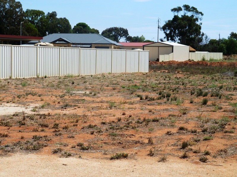 7 Torrens Street, Loxton SA 5333