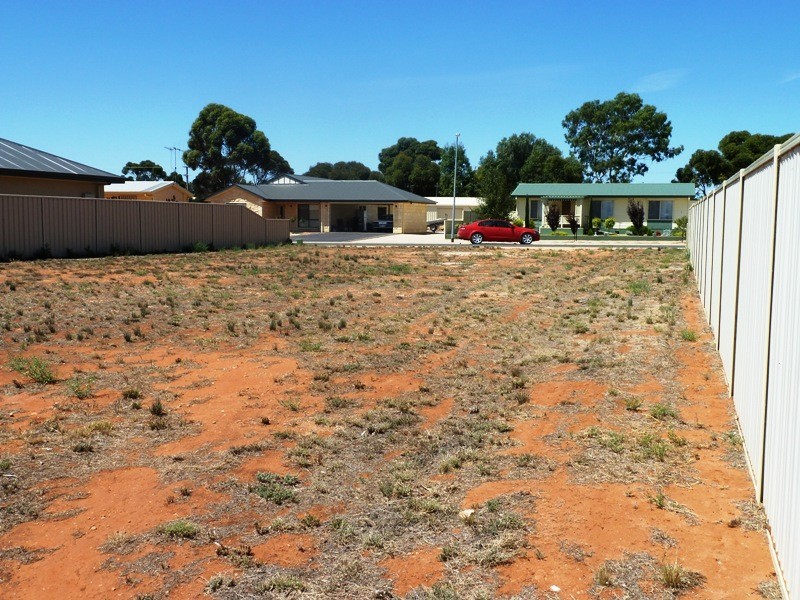 7 Torrens Street, Loxton SA 5333
