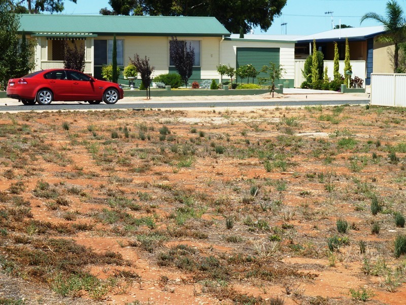 7 Torrens Street, Loxton SA 5333