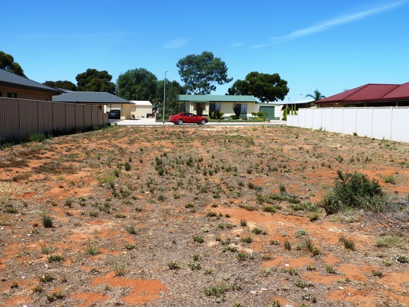 7 Torrens Street, Loxton SA 5333