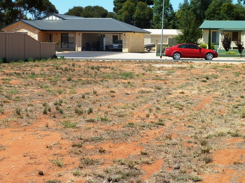 7 Torrens Street, Loxton SA 5333