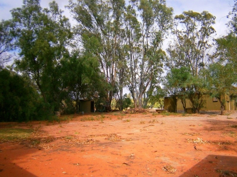 29 North West Bend, Morgan SA 5320