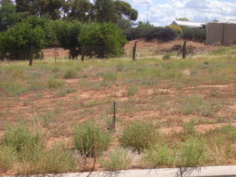 12 McEwen Drive, Loxton SA 5333