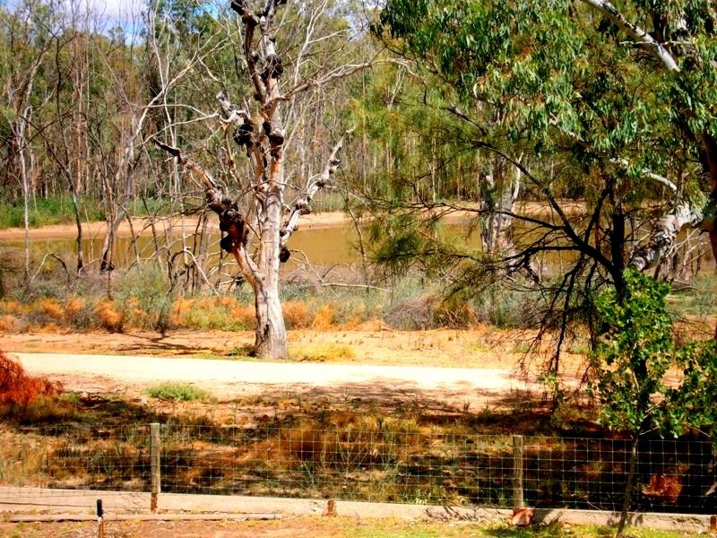 Lot 377 Scotts Creek, Morgan SA 5320