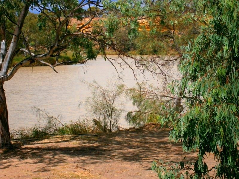 Lot 377 Scotts Creek, Morgan SA 5320