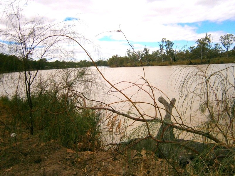 Lot 377 Scotts Creek, Morgan SA 5320