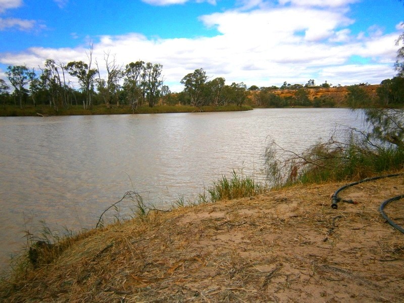 Lot 377 Scotts Creek, Morgan SA 5320