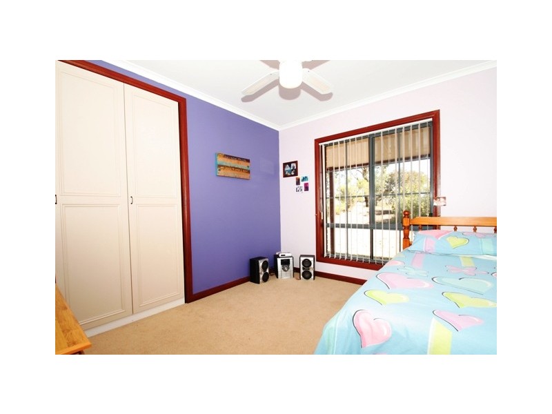 423 Gratwick Rd, Loxton SA 5333