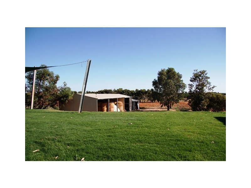 423 Gratwick Rd, Loxton SA 5333