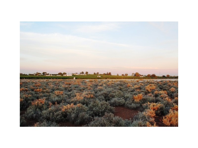 1105 Bookpurnong Rd, Loxton SA 5333