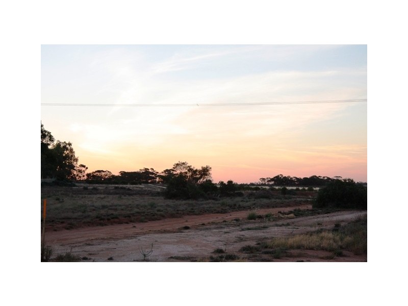 1105 Bookpurnong Rd, Loxton SA 5333