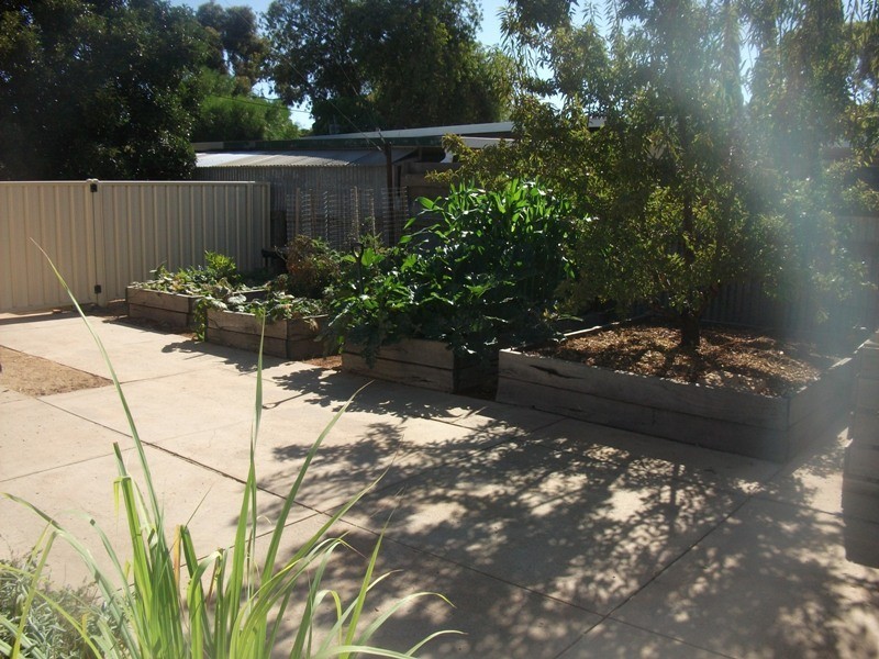 12 Mortimer Road, Berri SA 5343