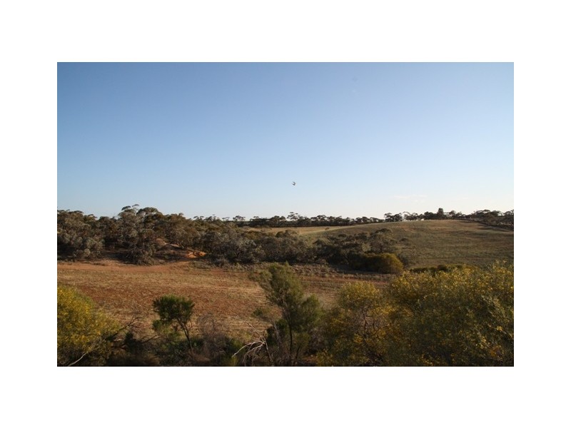 78 and 79 Kingston Rd, Loxton SA 5333