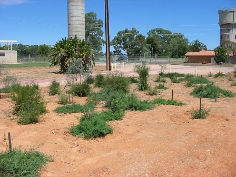 Lot 42/ Ian Showell Drive, Renmark SA 5341