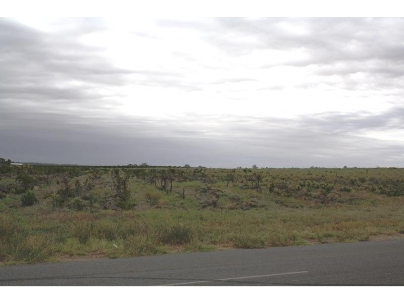 Section 12 and 13 Hundred of Gordon – Balfour Ogilvy Road, Loxton North SA 5333