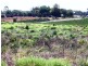 Section 12 and 13 Hundred of Gordon – Balfour Ogilvy Road, Loxton North SA 5333