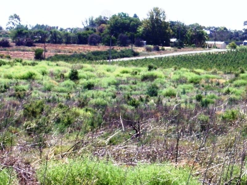 Section 12 and 13 Hundred of Gordon – Balfour Ogilvy Road, Loxton North SA 5333
