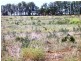 Section 357 Hundred of Gordon – Bookpurnong Road, Loxton North SA 5333