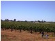 Lot 15 Section 512 Edmondson Road, Loxton SA 5333
