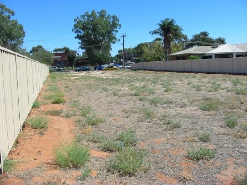 57 Murtho Street, Renmark SA 5341