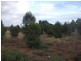 Portion Sect. 507 Bassham Road, Barmera SA 5345