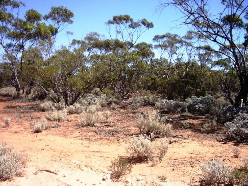 Moorook SA 5332