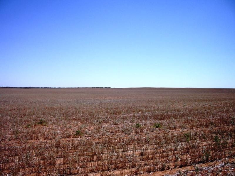 Moorook SA 5332