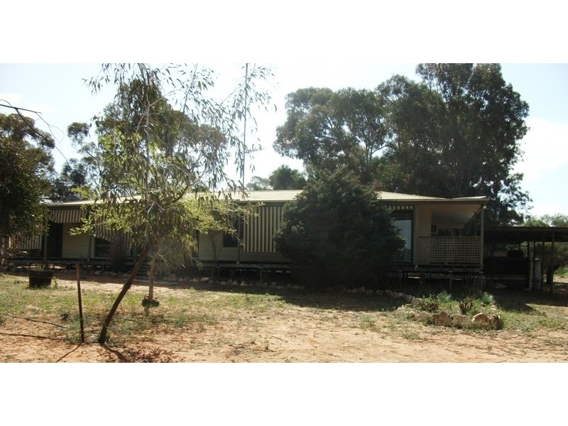 503 Caddy Road, Loveday SA 5345
