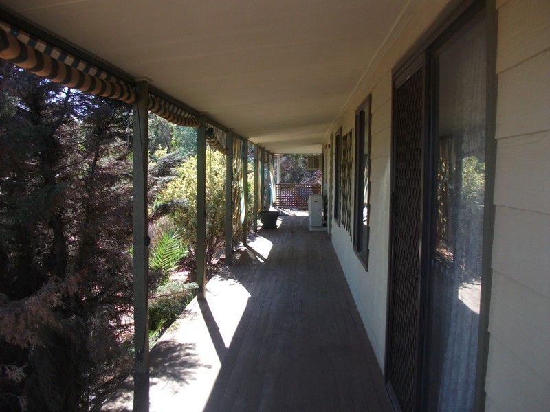 503 Caddy Road, Loveday SA 5345