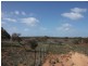 503 Caddy Road, Loveday SA 5345