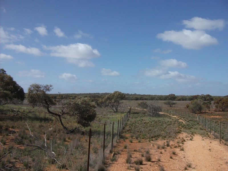 503 Caddy Road, Loveday SA 5345